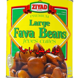 Ziyad Large Fava Beans - Sweet and Tea